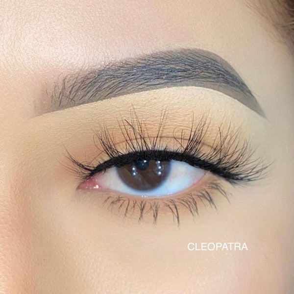 Cleopatra - False eyelashes - Lash Boom