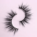 Cleopatra - False eyelashes - Lash Boom