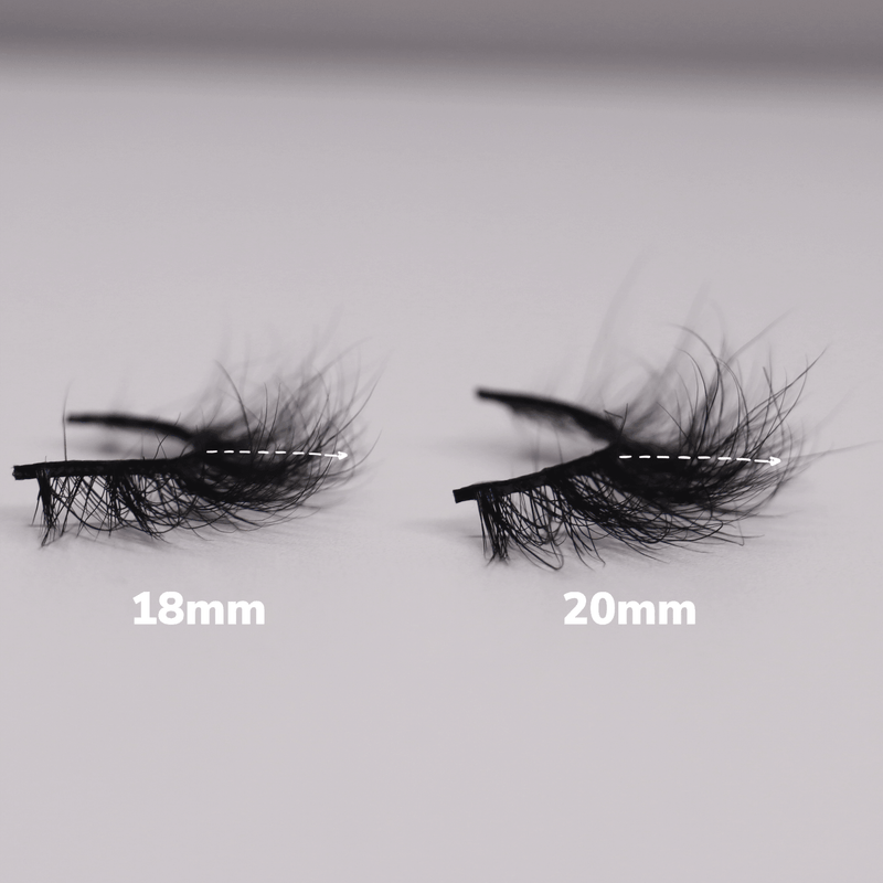 Dulcet - False eyelashes - Lash Boom