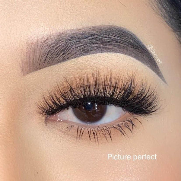 Picture Perfect - False eyelashes - Lash Boom
